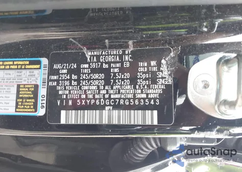 2024 Kia Telluride S from USA, damaged, VIN 5XYP6DGC7RG563543